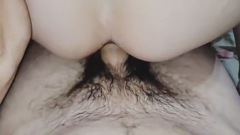 Fastaneous Anal Play